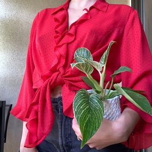 Vintage Naomi Blouse Red Button up top